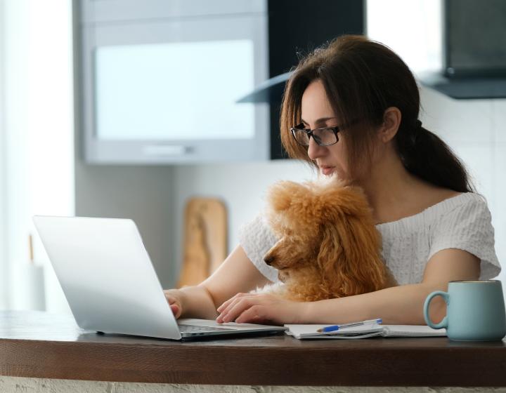 Online student with dog on lap